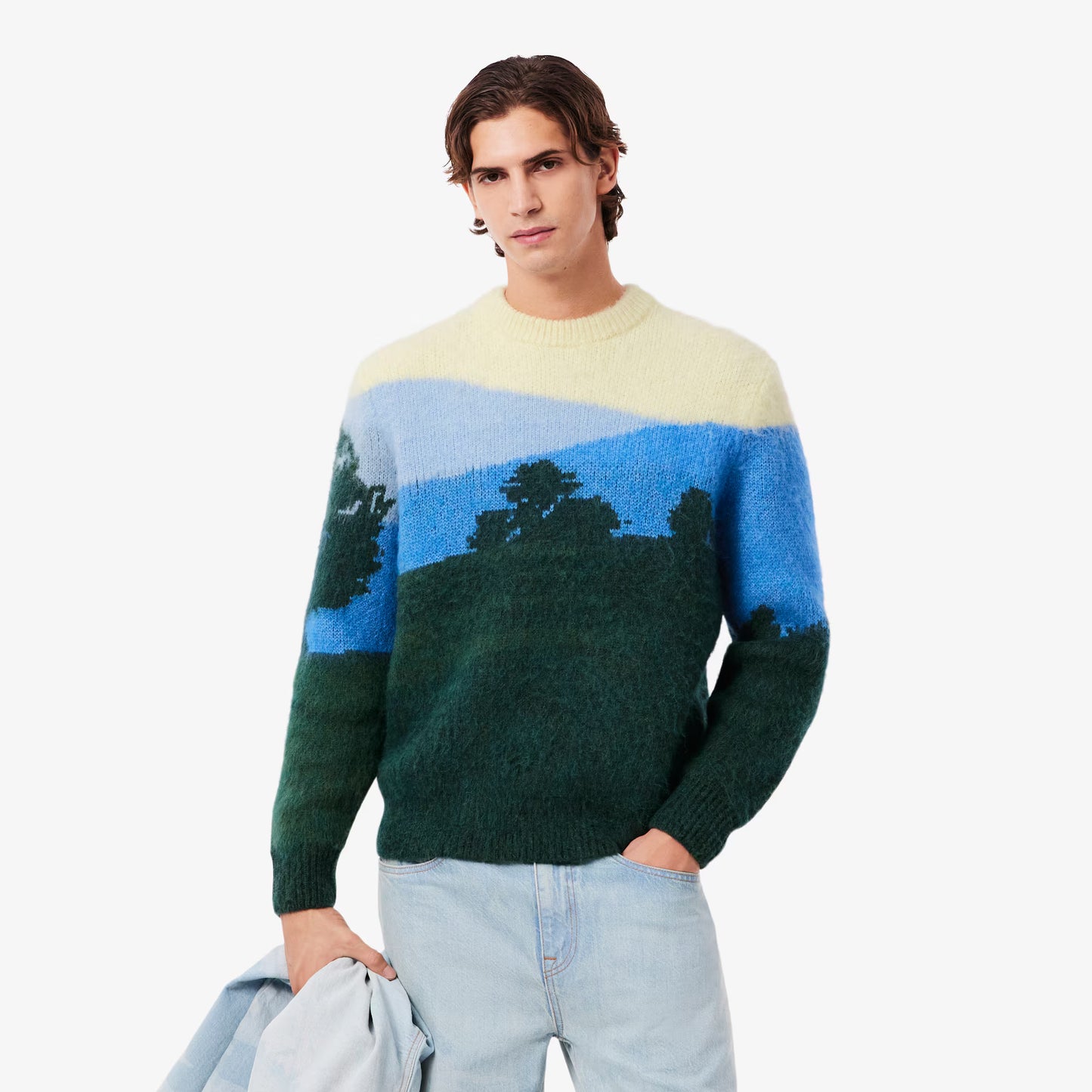Pull en alpaga jacquard paysage