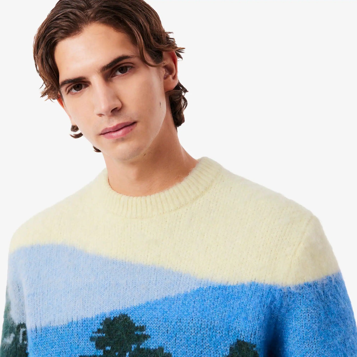 Pull en alpaga jacquard paysage