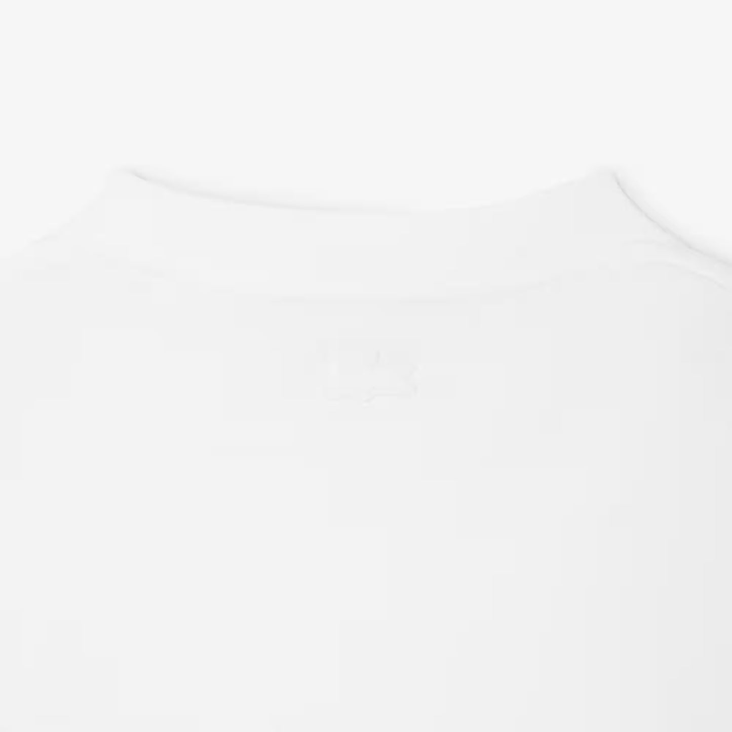 T-shirt en jersey épais brodé