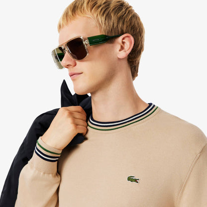 Pull en jersey de coton rayé