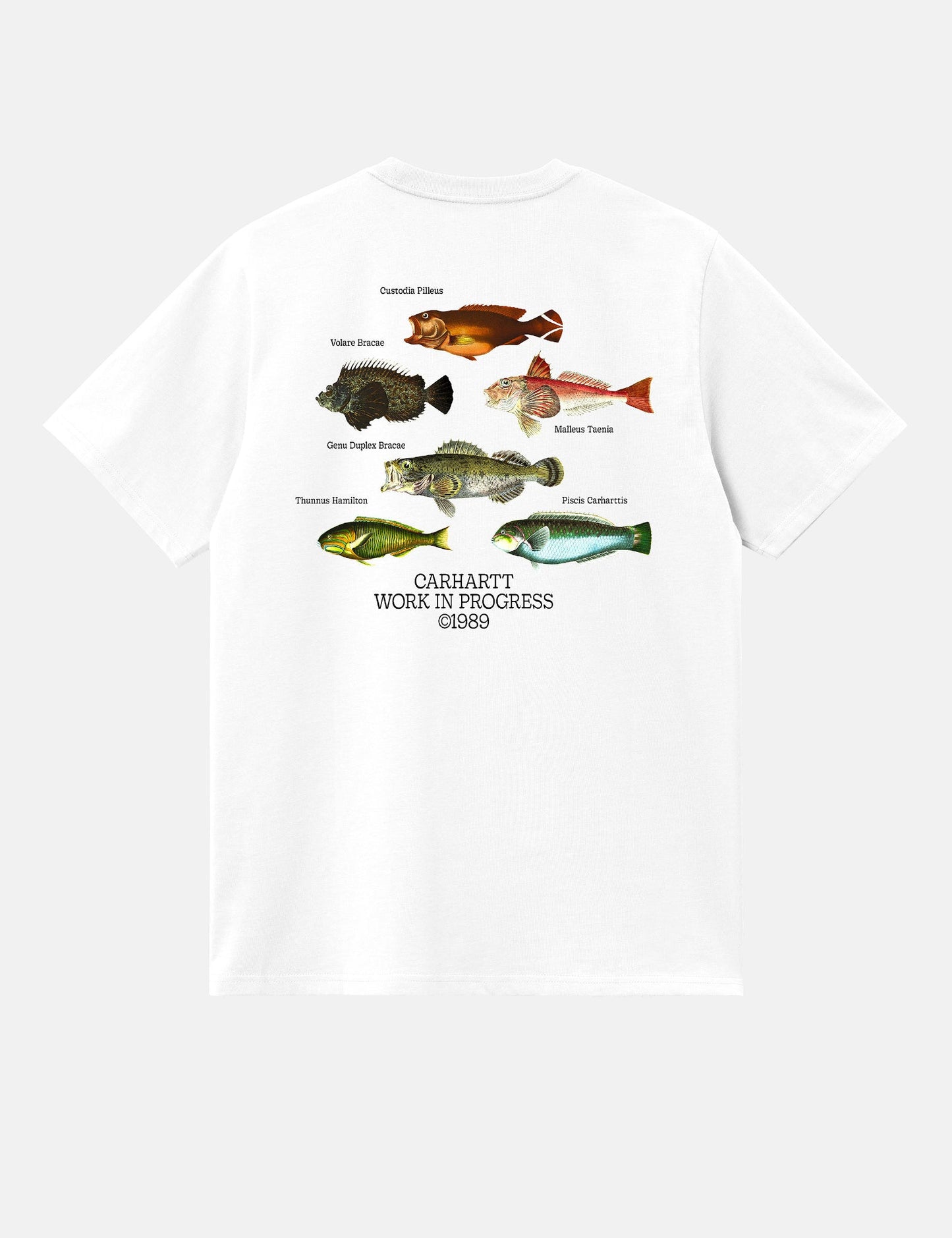 T-shirt Poisson (Ample) - Blanc
