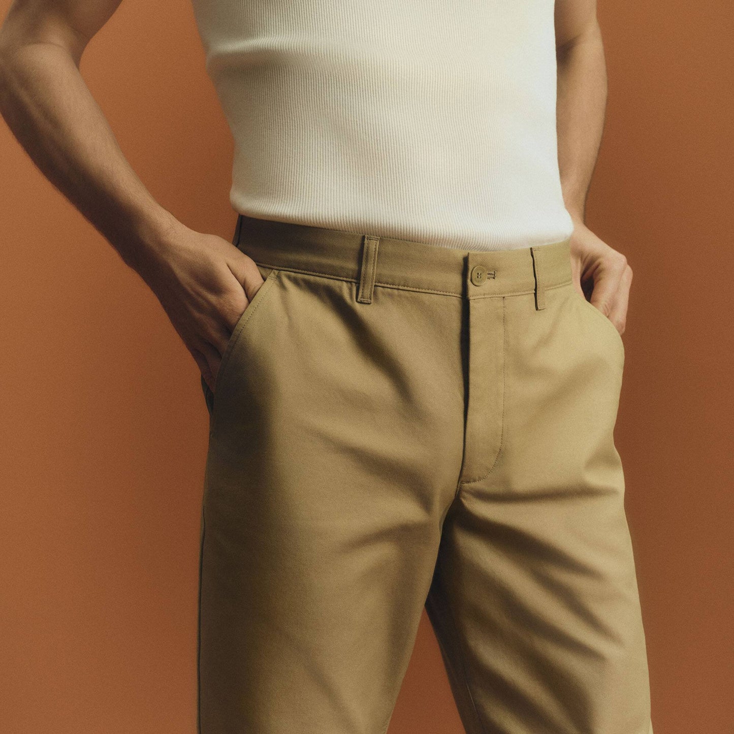 Pantalon Chino en Coton Coupe Droite